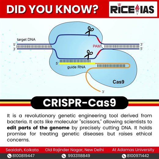 CRISPR-Cas9 Explained for UPSC 2026 | Biotechnology Current Affairs | RICE IAS