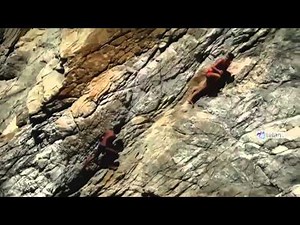 Los clavadistas de Acapulco: el asombroso vuelo hacia el océano