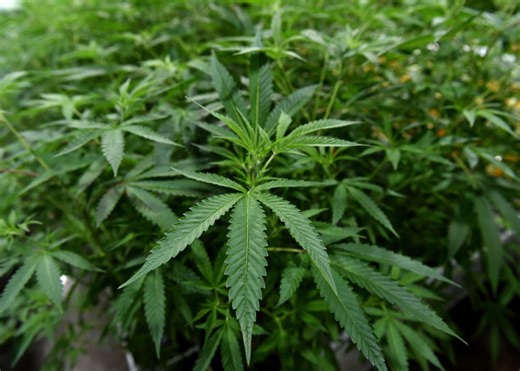 Did Pennsylvania legalize marijuana in the budget?