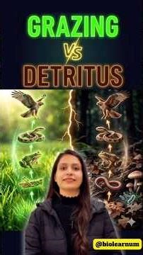 |🧐Food Chain Secrets: Grazing vs Detritus💯|Ecosystem| Energy Flow|Biolearnum|