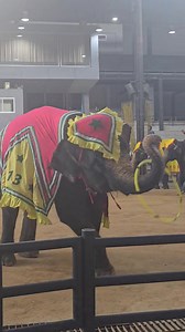 Victory Global Unlimited Systems, Inc on Reels