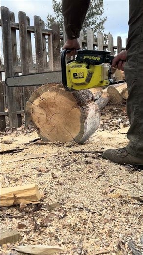 Pioneer p41 - Reeds, BGD, MM, TA