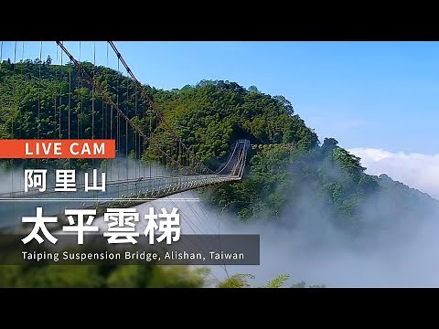 【HD Live】Taiping Suspension Bridge in Alishan, Taiwan｜ Live cam-Alishan