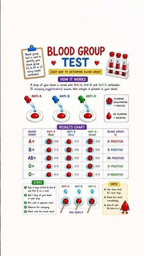 How to Identify Blood Group | ABO Blood Typing