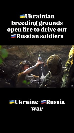 🇺🇦Ukrainian breeding grounds open fire to drive out 🇷🇺Russian soldiers | World Storytelling