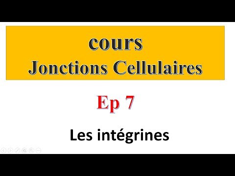 Lecture: Cell Junctions, Episode 7: Adhesion Molecules - Integrins