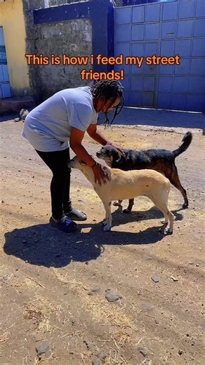 How I Feed My Street Friends: Muyu The Stable Genius Tuesday