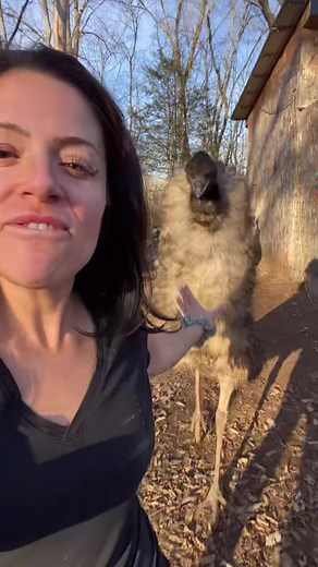 Useless Farm on TikTok