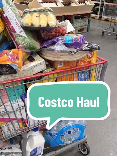 Costco Haul: Monthly Grocery Restock for Large Family
