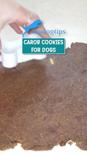  Chocolate vibes, dog-safe style!  These homemade carob cookies for dogs are rich, healthy, and totally tail-wag approved. ✨ A sweet treat you can feel good about sharing!  ️ Watch now + grab the full recipe here: https://topdogtips.com/carob-cookies-for-dogs-recipe/ #CarobDogCookies #HomemadeDogTreats #HealthyDogSnacks #DogMomLife #DogDadLife #TopDogTips | Top Dog Tips | Facebook