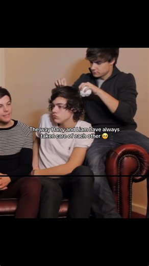 Harry Styles and Liam Payne's Heartfelt Friendship Moments