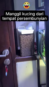 725K views · 10K reactions | Tutorial pannggil kucing dari persembunyian  #kucinglucu #kucingkocak | Diki Hardian | Facebook