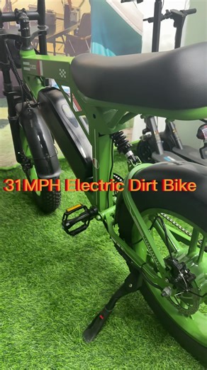 Electric Bike with 1000W Motor and 31MPH Speed