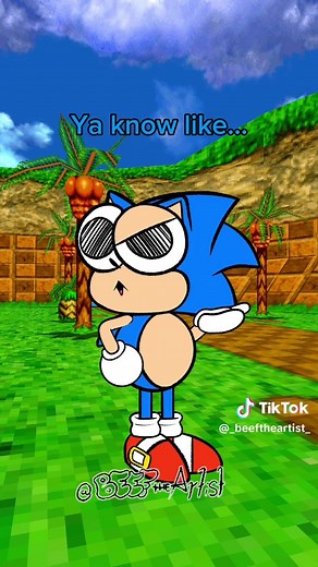 Sonic hates these “people” 🤖 (Audio by: @/ TurboJehtt on YT) #parody #animation #meme #sonic #clanker