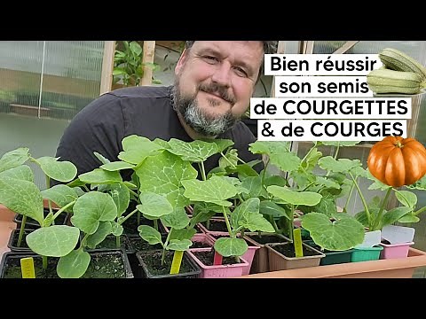 Comment réussir son semis de COURGES 🎃 & de COURGETTES『TUTO』
