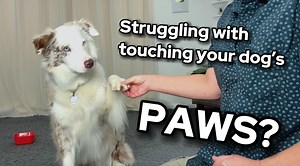 21K views · 257 reactions | Can’t get past the first step of touching...