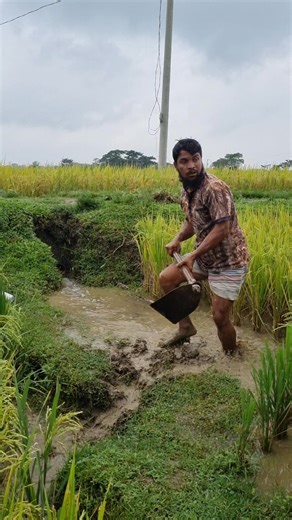 Village Activity on Reels