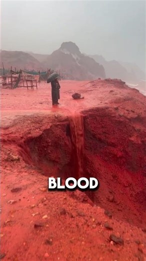Blood Rain Phenomenon 🤯