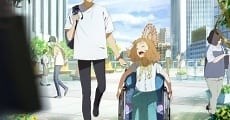 Josee to Tora to Sakana-tachi (2020)  - Ver Película Completa en Español - FULLTV