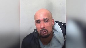 Man who owned XL bully dog that fatally mauled woman jailed for 10 years