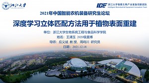 PlantStereo数据集开源：深度学习立体匹配方法用于植物表面重建