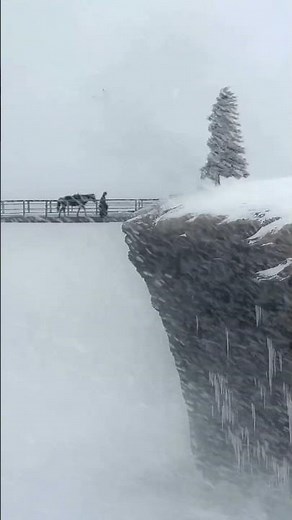 ❄️ Tranquil Snowstorm & Soothing Wind Sounds – Relax & Unwind 🌨️✨