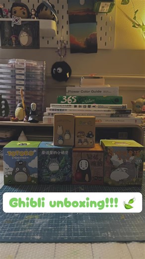 Ghibli Unboxing Experience: Discover Unique Merchandise