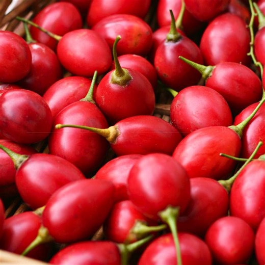 Red Tamarillo Seeds 20 | Solanum Betaceum | Tree Tomato | Easy to Grow Tropical Fruit Plant - Etsy Canada