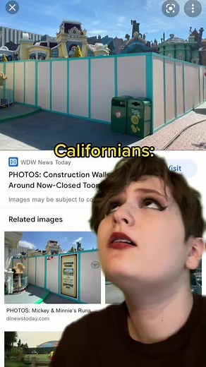 Walls of Disney on TikTok