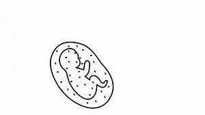 Fertility Treatment Animation Fetus Vial Animated Stock Footage Video (100% Royalty-free) 3594197859 | Shutterstock