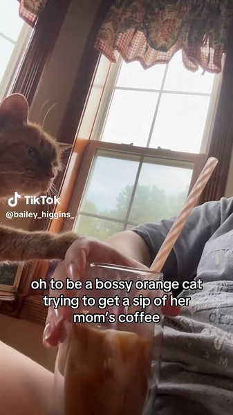 Does Spam Posting Count as Vlogmas?