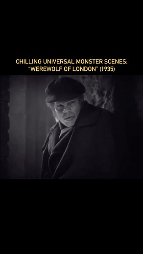 This atmospheric moment from 1935’s “Werewolf of London” is one of the most chilling Universal Monster scenes! #UniversalMonstersUniverse #WerewolfOfLondon #UniversalMonsters #ClassicMonsters #Werewolf #Horror #HorrorReels #HorrorMovies #Reels | Universal Monsters Universe