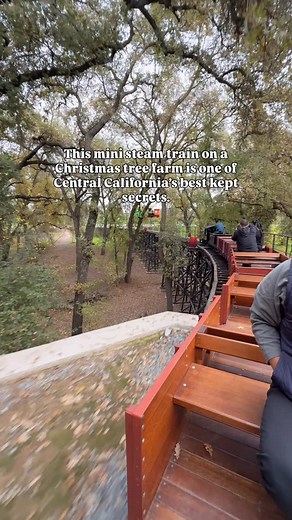This Christmas tree farm is one of Central California’s best kept secrets.🎄🚂🤫 Cut down your own Christmas tree and load it onto a real mini steam train at @hillcrestreedley If you’re searching for Christmas activities, family-friendly things to do, or unique holiday traditions in the Valley, this one has to be on your list. #christmastrain #christmastreefarm #centralcalifornia #steamtrain | Cassie's Compass