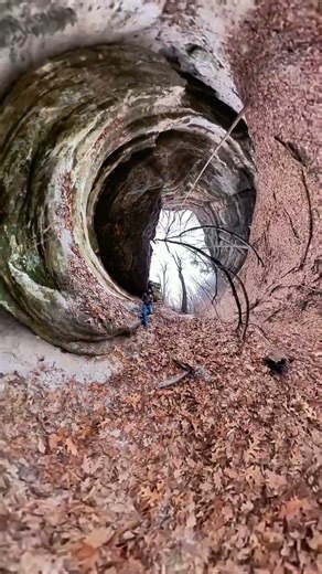 Take a hike #explore #hiking #adventuretravel #insta360 #nature