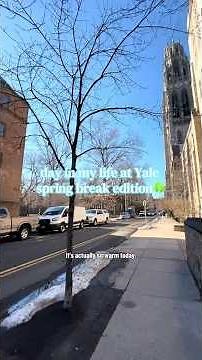 study day at Yale during spring break! #studymotivation #college #studytok #fyp