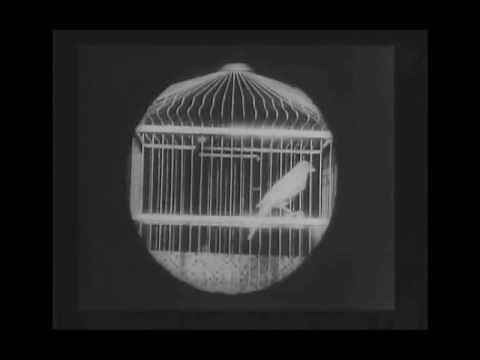 Grandma's Reading Glass - George Albert Smith - 1900