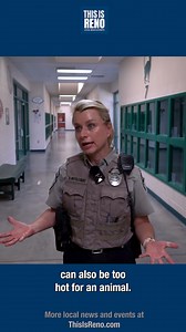 1.4K views |  This heatwave can harm pets. We checked in woth Washoe County Regional Animal Service's Heidi Mittelstaedt on ways to keep your pets safe. | This Is Reno | Facebook