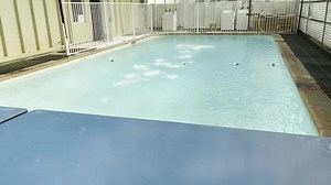 11 reactions · 3 comments | Indoor heated pool by new washers/dryer! Spa style w/waterfalls for our tenants and guests use by reservation. We hope to get the new jacuzzi setup too!!707-961-5451 | Hidden Pines RV Resort and Campground | Facebook