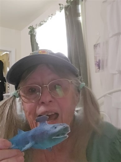 Discovering the Prehistoric Shark Stehacanthus