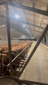 When you’re waiting for the buffet to open and it’s late. | TDF Honest Farming