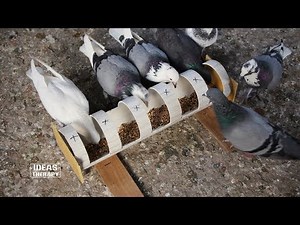 How to Make a Easy Bird Feeder With PVC Pipe | PVC Pipe Projects | Try at Home | Ideas Therapy