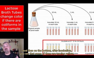 最可能数法-大肠杆菌检测-原理步骤