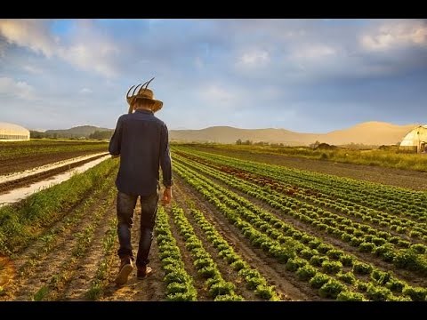 The Farmer Amelia E. Barr (1831-1919)