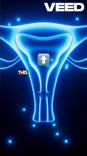 Unlocking Pelvic Health Transvaginal Ultrasound Explained