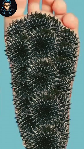 ASMR Animation Trick Infected Foot 🦶 #reels #viral #asmr | Rajesh Pandit