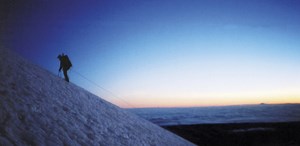 Cómo hacer que alguien famoso e importante diga sí: la musa - Consejo 2026