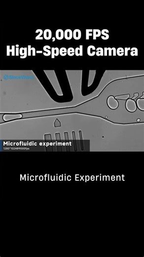 Microfluidic Experiment at 20,000 FPS Captured by High-Speed Camera