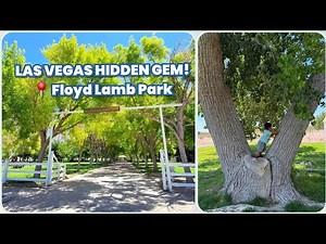 Hidden Gem in Las Vegas! Exploring Floyd Lamb Park at Tule Springs