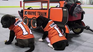 207K views · 6.2K reactions | We heard a vote for Wayne Simmonds is a...