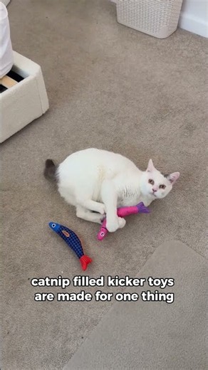 5 Best-Selling Interactive Cat Toys on Amazon 🐱